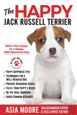Bertrand.pt - The Happy Jack Russell Terrier