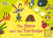 The Hare And The Tortoise