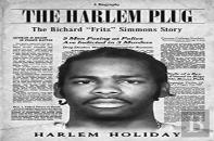 The Harlem Plug