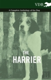 The Harrier - A Complete Anthology Of The Dog