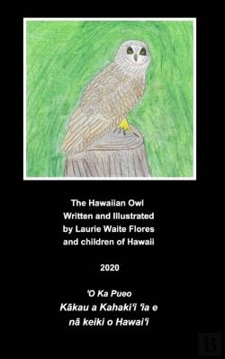 Bertrand.pt - The Hawaiian Owl - Pueo