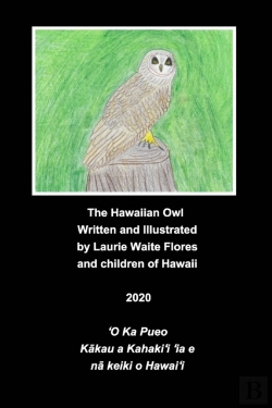 Bertrand.pt - The Hawaiian Owl - Pueo