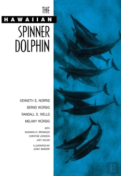Bertrand.pt - The Hawaiian Spinner Dolphin