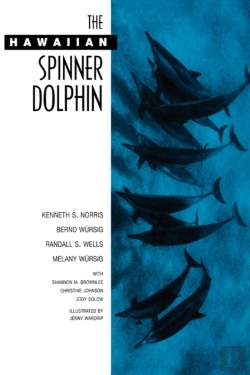 Bertrand.pt - The Hawaiian Spinner Dolphin