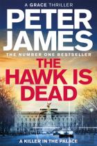 The Hawk Is Dead