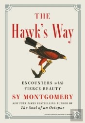 The Hawk'S Way