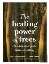 The Healing Power Of Trees