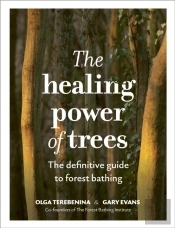 The Healing Power Of Trees