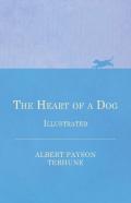 The Heart Of A Dog - Illustrated
