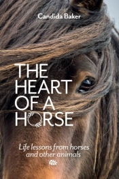 The Heart Of A Horse