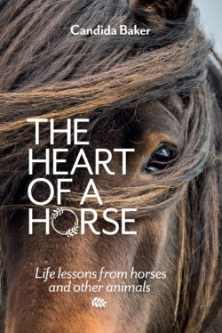 Bertrand.pt - The Heart Of A Horse