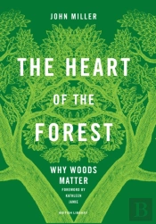 The Heart Of The Forest