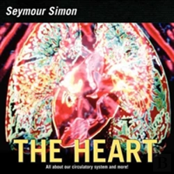 Bertrand.pt - The Heart