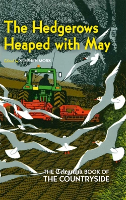 Bertrand.pt - The Hedgerows Heaped With May