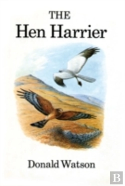 Bertrand.pt - The Hen Harrier
