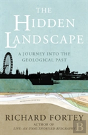 The Hidden Landscape