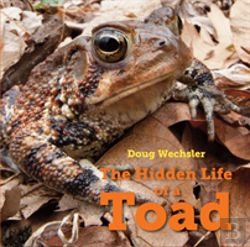 Bertrand.pt - The Hidden Life Of A Toad