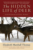 The Hidden Life Of Deer