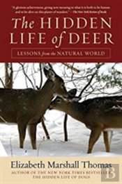 The Hidden Life Of Deer