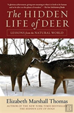 Bertrand.pt - The Hidden Life Of Deer