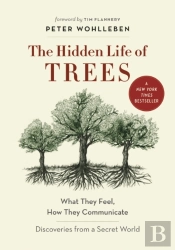 The Hidden Life Of Trees