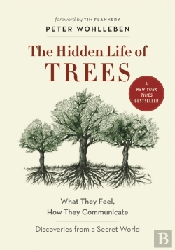 Bertrand.pt - The Hidden Life Of Trees