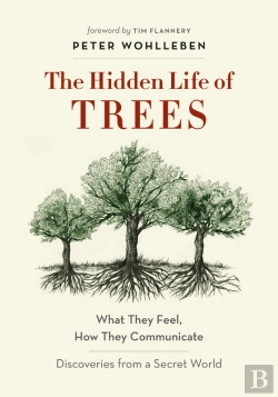 Bertrand.pt - The Hidden Life Of Trees