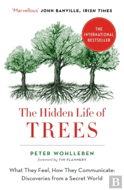 Bertrand.pt - The Hidden Life Of Trees