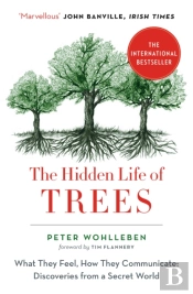 The Hidden Life Of Trees