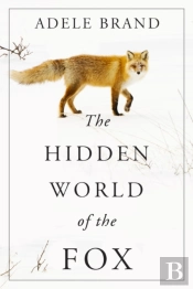 The Hidden World Of The Fox