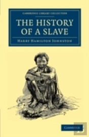 The History Of A Slave