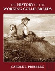 The History Of The Working Collie Breeds