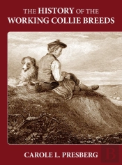 The History Of The Working Collie Breeds