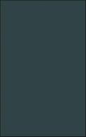 The Holocaust Novel