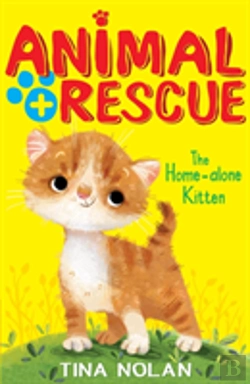 Bertrand.pt - The Home-Alone Kitten