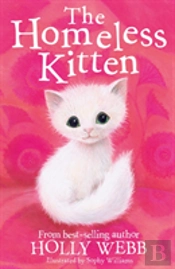 The Homeless Kitten