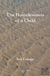 The Homelessness Of A Child