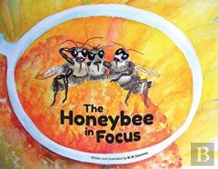 The Honeybee In Focus
