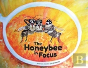 The Honeybee In Focus