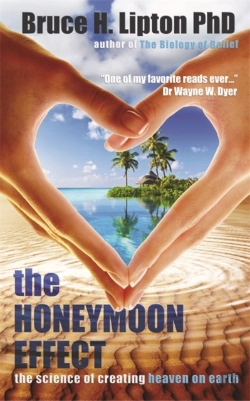 Bertrand.pt - The Honeymoon Effect