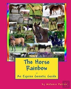 Bertrand.pt - The Horse Rainbow