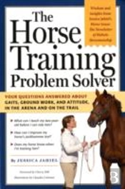 The Horse Training Problem Solver