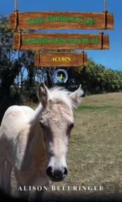 The Horses Of Saddlers Ranch: Acorn