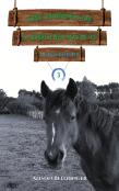 The Horses Of Saddlers Ranch: Black Knight