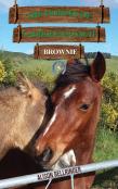 The Horses Of Saddlers Ranch: Brownie