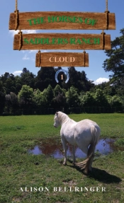 The Horses Of Saddlers Ranch: Cloud
