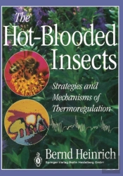 The Hot-Blooded Insects