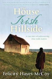 The House On An Irish Hillside