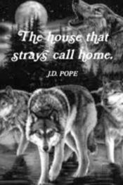 The House That Strays Call Home.