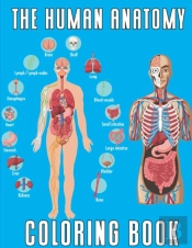 The Human Anatomy